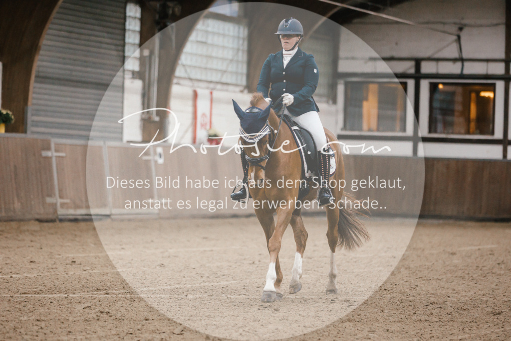 3I6A5945 | Stimmungsvolle Portraits und Reitsportfotografie im Ruhrgebiet und im Münsterland.

Pferdefotografie, Hundefotografie, Tierfotografie, Reportagen, Portraits von Tier und Mensch, Turnierfotografie in Bochum, Recklinghausen, Marl, Haltern am See, Dülmen.. - Realisiert mit Pictrs.com