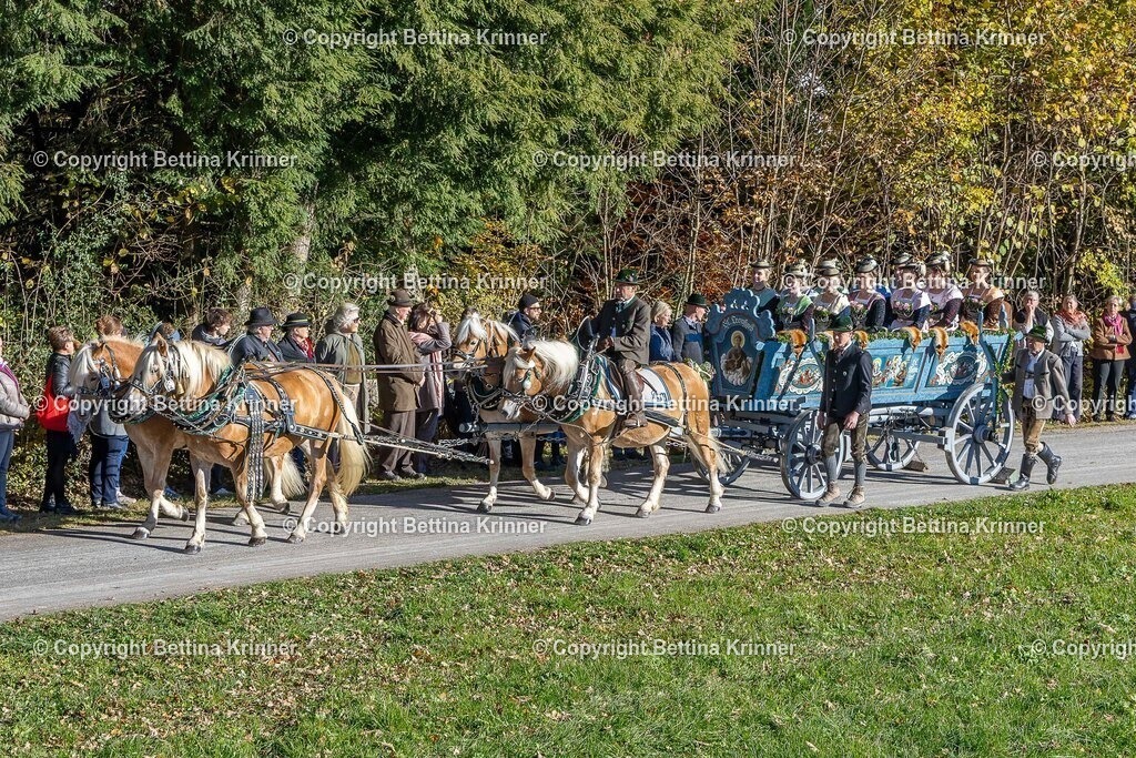 LBT25-375 | foto-bettina-krinner - Realisiert mit Pictrs.com