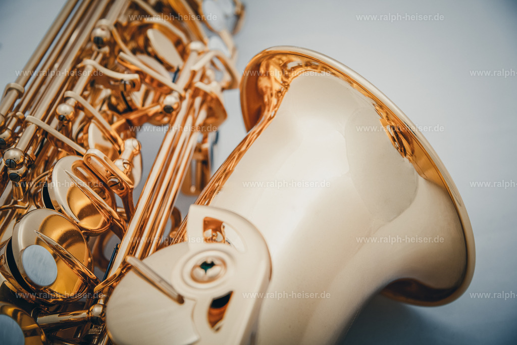 _MG_7985 | Wandbilder, Bilder, Fotograf in Marburg, Tierbilder, Wandfotos, Bilder Shop, Günstige Bilder, Schwarz-Weiß Bilder, Ralph Heiser