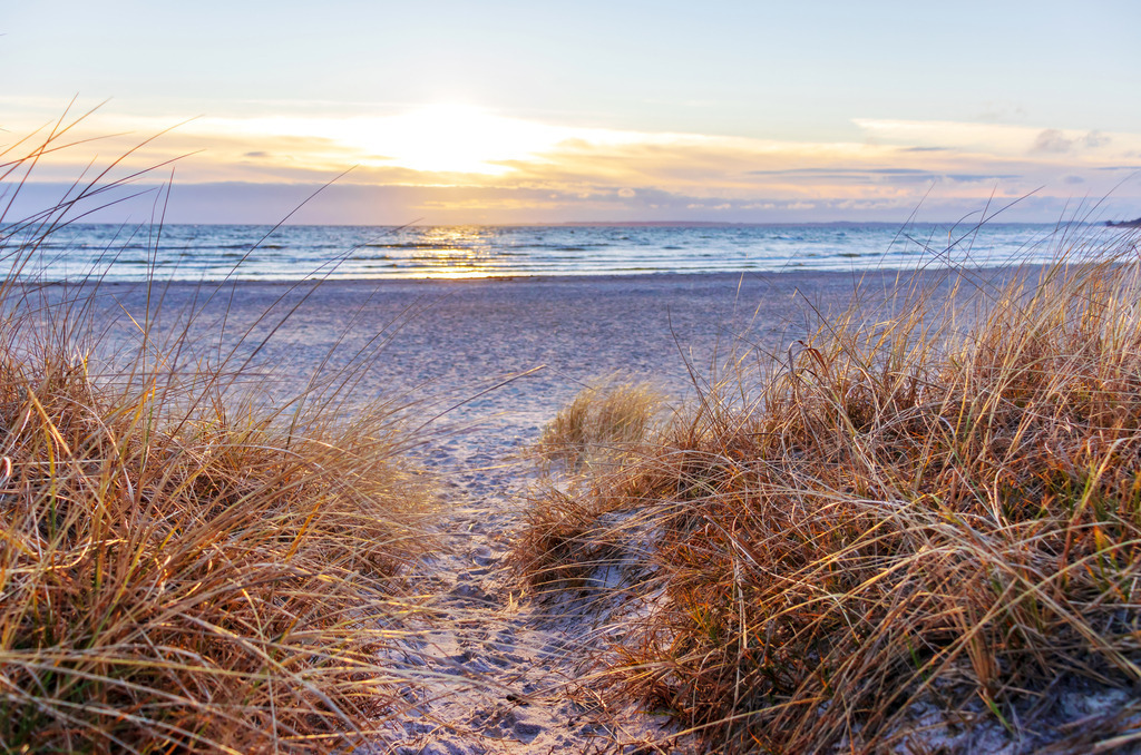 XXL Wandbild: Sonnenaufgang an der Ostsee | Dieses Wandbild im Querformat zeigt einen schönen Sonnenaufgang an der Ostsee. Im Vordergrund ist ein Weg inmitten von Strandhafer zu sehen, der teilweise von dem Licht der aufgehenden Sonne angeleuchtet wird. Auf dem Meer sind zahlreiche Wellen. Am Himmel scheint die Sonne durch Wolken am Horizont.  - Realisiert mit Pictrs.com