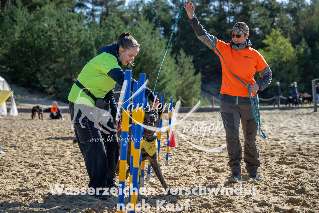 1133_ZZ91459 | kk-dogfotos