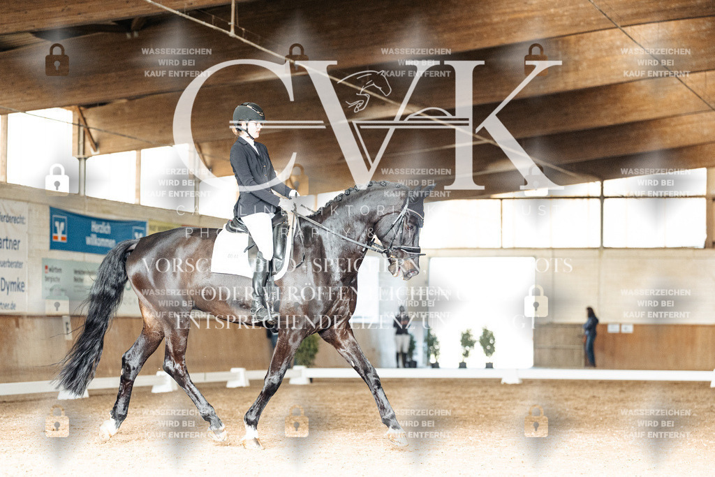 CK902479 | Turnierfotografie Pferdefotografie Trier Rheinland-Pfalz Pferdesport Reitsport Tierfotografie Sportfotografie Pferdevideo Pferdevideografie Equestrianvideography equestrianphotography  - Realisiert mit Pictrs.com