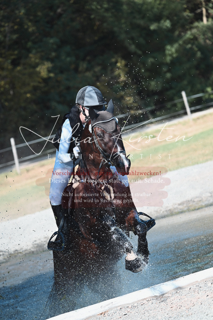 DSC_8790 | Pferde- und Turnierfotografie in Westsachsen. Pferdeportraits, Auftragszeichnungen und intuitive Kunst.