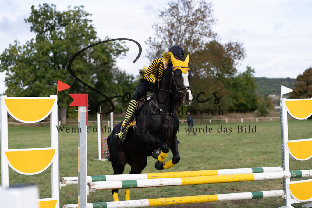 A7V06524 | Pferdefotograf