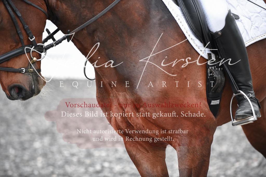 20230513_JK-Röhrsdorf-14-796 | Pferde- und Turnierfotografie in Westsachsen. Pferdeportraits, Auftragszeichnungen und intuitive Kunst.