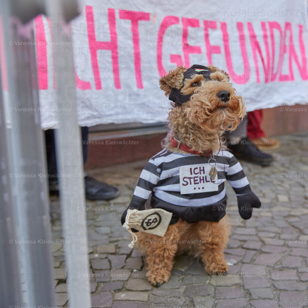 250426_Gewobag_25 | Vanessa Kleinwächter - Realisiert mit Pictrs.com