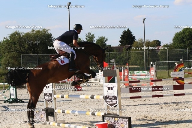 OHT 2022 Röhlingen (108) | Fotografie, Tiere, Hunde, Katzen, Pferde, Sportfotografie, Fotosession, Tierfotografie, Turnierfotografie, Fotografin, Fotograf - Realisiert mit Pictrs.com