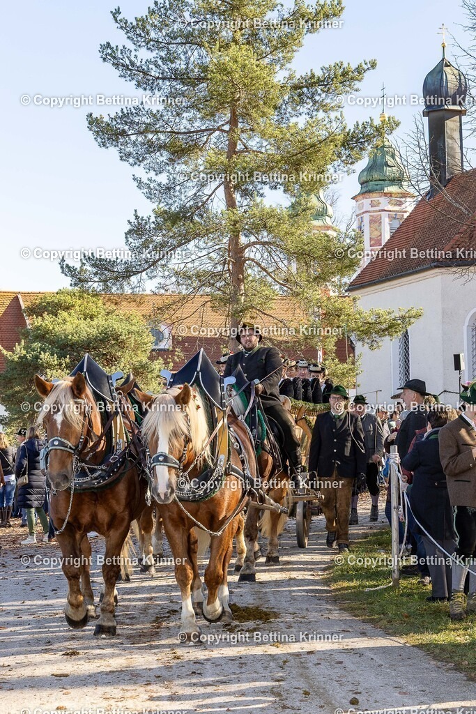 LBT25-1130 | foto-bettina-krinner - Realisiert mit Pictrs.com