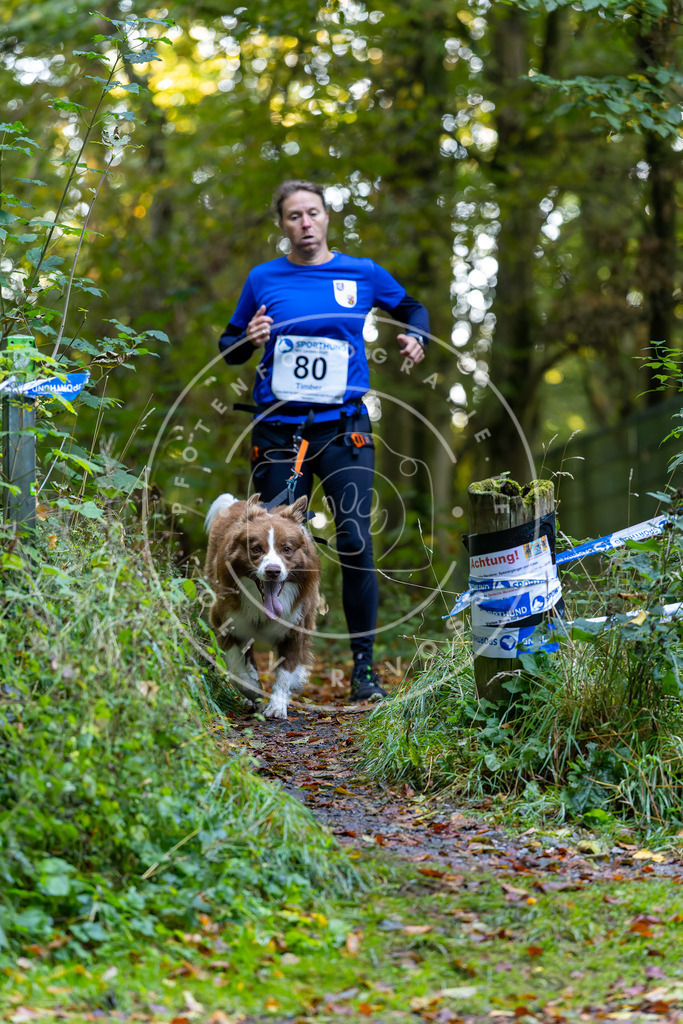 Pfotenfotografie_DV3A7506 | Hundefotografie, Tierfotograf, Pfotenfotografie, Fotoshooting Hund, Hunde Portrait, Hundesport, Hundeportraits, Heideshooting, Hunde, Sportfotograf, Hundefotograf, Turnierhundsport, THS,  - Realisiert mit Pictrs.com