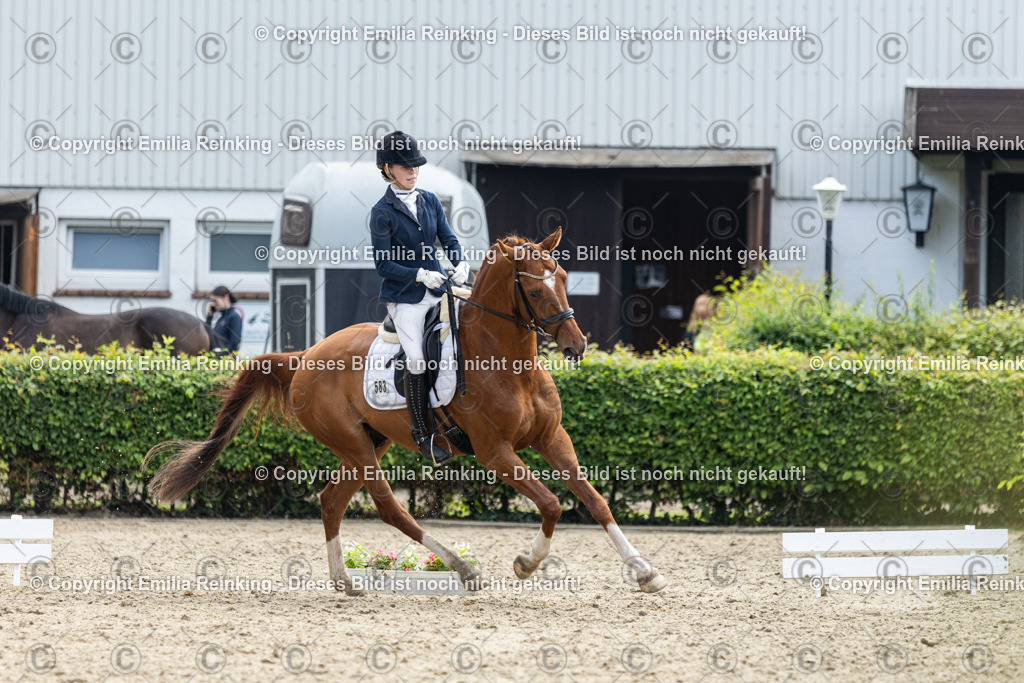 CL5A5047 | Emilia Reinking Fotografie - Realisiert mit Pictrs.com