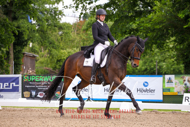 DKP41639 | Deine Turnierfotos vom Reitturnier online kaufen: Dressur, Springen & Siegerehrung. Professionelle Pferdefotografie aus dem Rheinland – als Download & Print.Alternative: Turnierfotograf für den Pferdesport: Finde deine Fotos von Dressur- und Springturnier