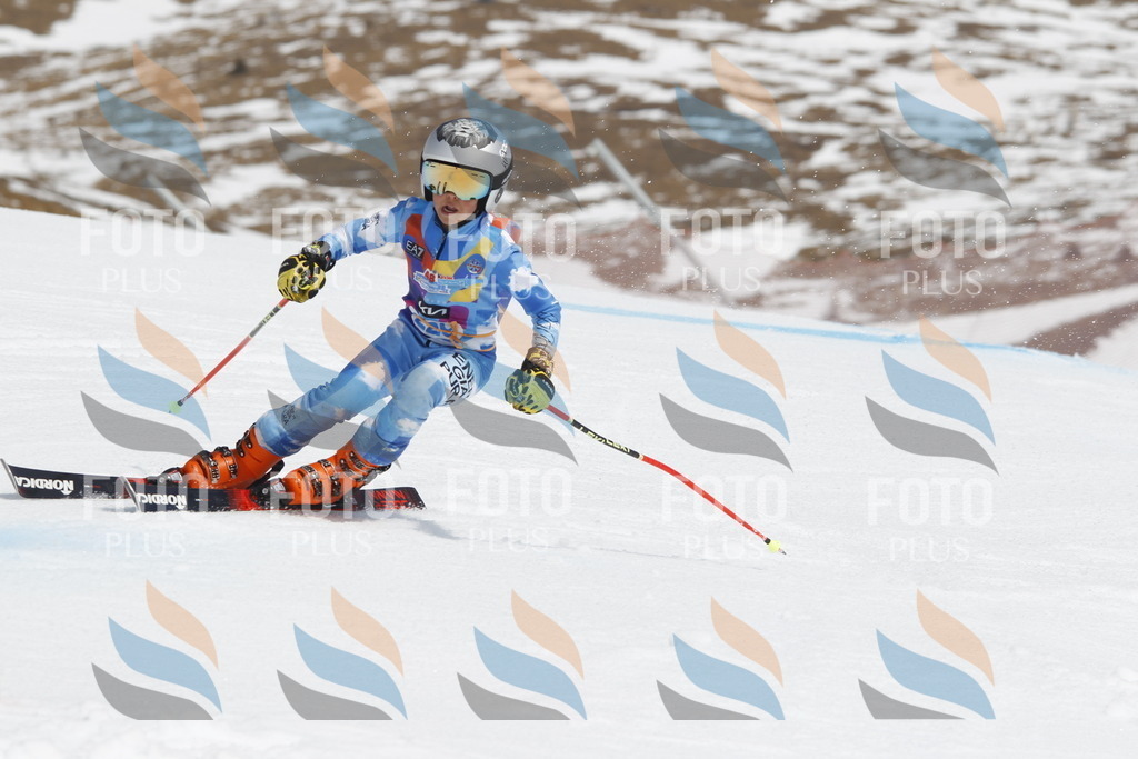 _U3G2503 | holidayphoto