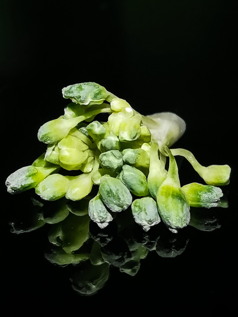 PSX_20230108_224648 | mtkfoto_ - Realisiert mit Pictrs.com