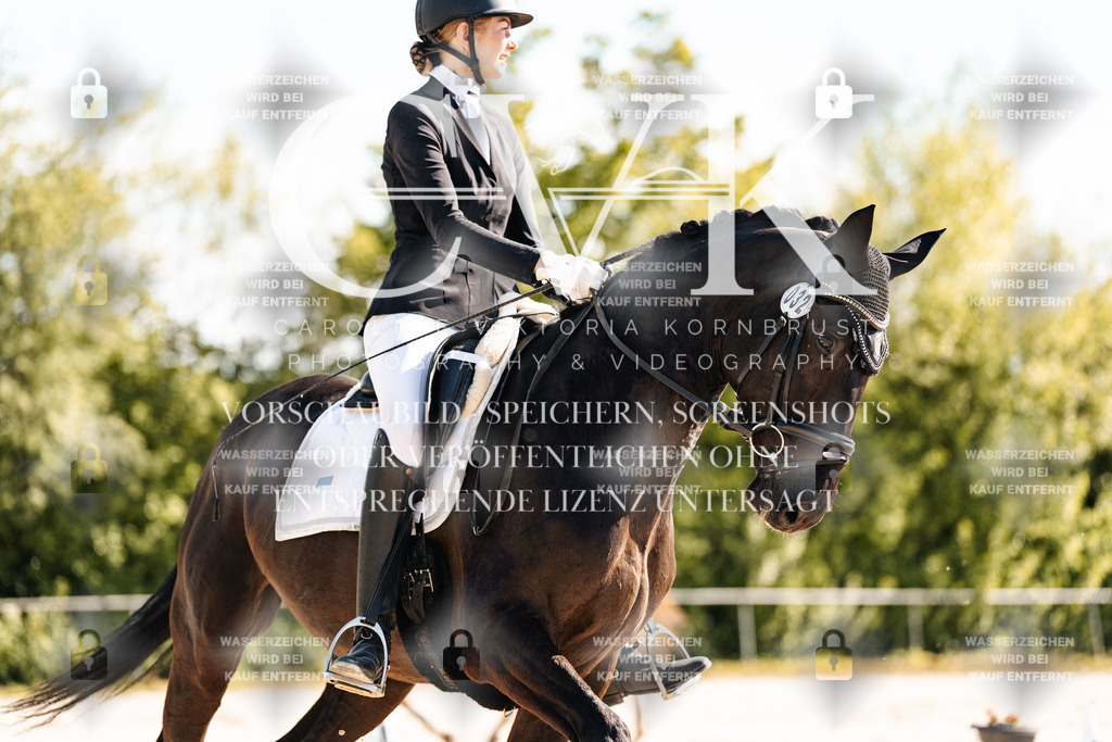 CK909252 | Turnierfotografie Pferdefotografie Trier Rheinland-Pfalz Pferdesport Reitsport Tierfotografie Sportfotografie Pferdevideo Pferdevideografie Equestrianvideography equestrianphotography  - Realisiert mit Pictrs.com