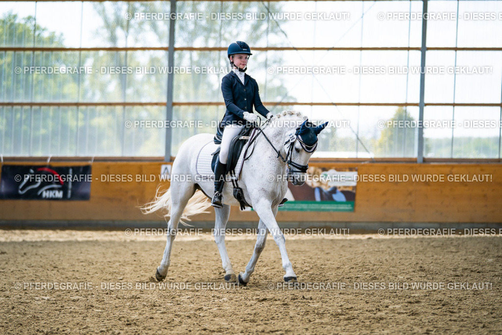 DSC05565 | Pferdegrafie