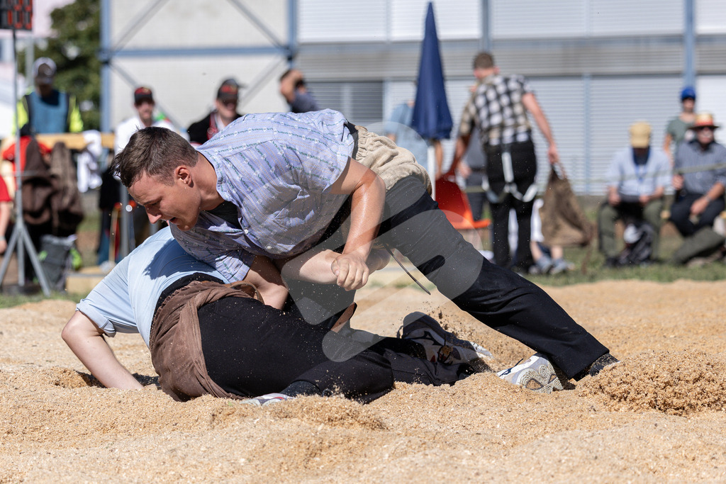 TESSINER2025_03_Gang_0138 | Die Schwinger des Schwyzer Kantonalen Schwingerverbandes: Fotos, die Dynamik und Leidenschaft festhalten, sowie emotionale Momente aus dem traditionellen Schwingsport zeigen. - Realisiert mit Pictrs.com