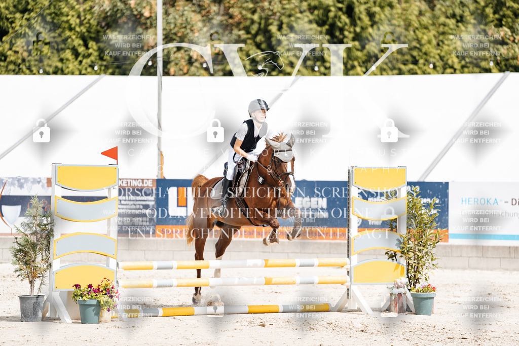 CK906551 | Turnierfotografie Pferdefotografie Trier Rheinland-Pfalz Pferdesport Reitsport Tierfotografie Sportfotografie Pferdevideo Pferdevideografie Equestrianvideography equestrianphotography  - Realisiert mit Pictrs.com