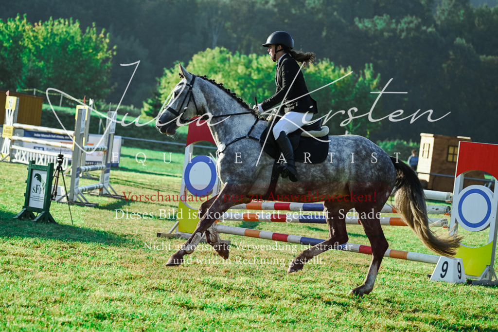 DSC_4158 | Pferde- und Turnierfotografie in Westsachsen. Pferdeportraits, Auftragszeichnungen und intuitive Kunst.