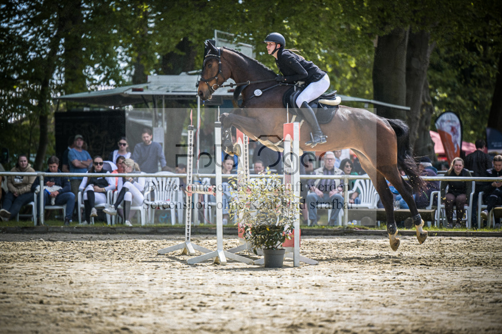 DOS_0011 | Entdecke hochwertige Reitturnierfotos von Foto Oger. Professionell, emotional und authentisch – jetzt Lieblingsmomente im Shop bestellen.Deutschlandweite Turnierfotografie. - Realisiert mit Pictrs.com