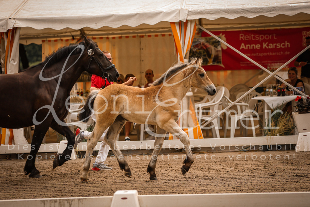 SaSF00039 | Leoni Ertmer Photography - Realisiert mit Pictrs.com