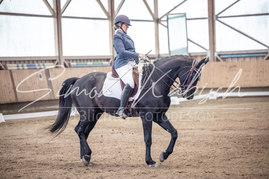 20251011-_3LI1130 | Tierfotografie Pferde, Hunde, Katzen, Haustiere.
Turnierfotografie Reitturniere, Reiten, Springreiten, Dressur in Hanau, dem Main-Kinzig-Kreis und dem Rhein-Main- Gebiet um Frankfurt