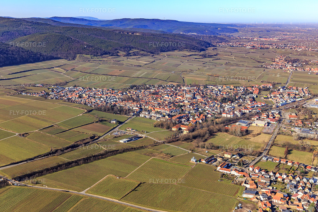 Luftbild: Stadtübersicht aus Südosten in Deidesheim im Bundesland Rheinland-Pfalz in Deutschland. Foto: IMG_125359.jpg vom 21.02.2021 durch Werner Riehm/FLY-FOTO.de