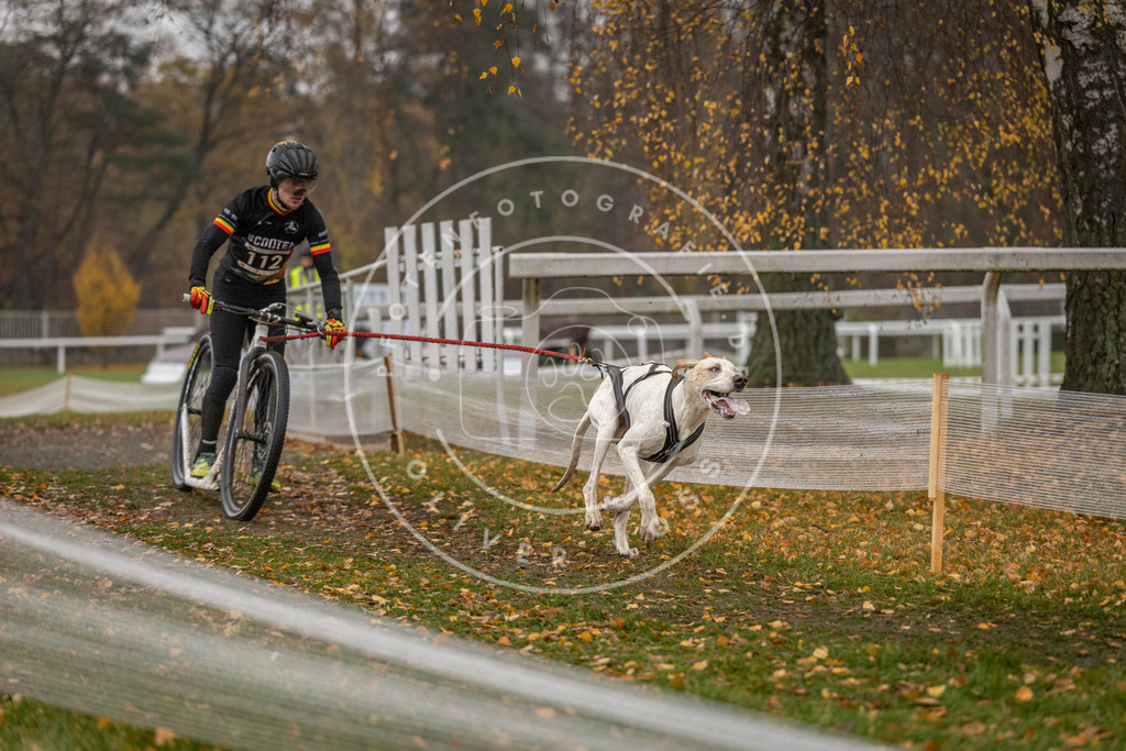 CaniXpix_DV3A7647 | Hundefotografie, Tierfotograf, Pfotenfotografie, Fotoshooting Hund, Hunde Portrait, Hundesport, Hundeportraits, Heideshooting, Hunde, Sportfotograf, Hundefotograf, Turnierhundsport, THS,  - Realisiert mit Pictrs.com