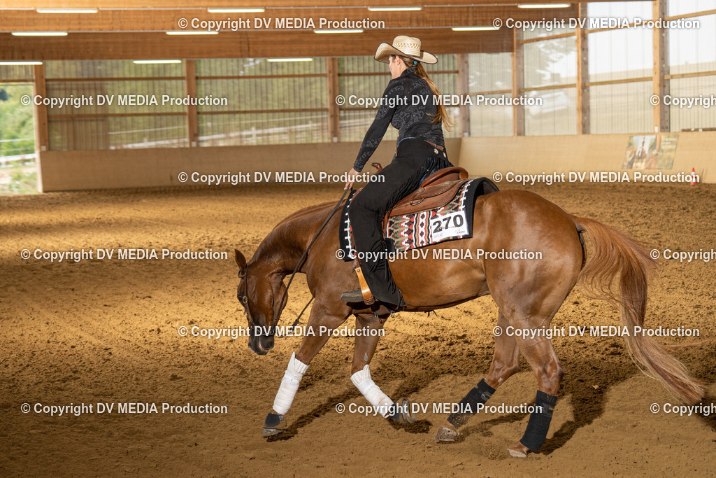 LAU01453 | dv-media-shop - Realisiert mit Pictrs.com