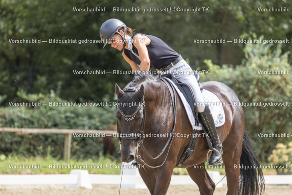 _D5A3647 | Emotionale Pferde- & People-Fotografie rund um Heidelberg, Leimen & Umgebung. Natürliche Fotos von Pferd, Mensch & Familie. Jetzt Termin sichern!