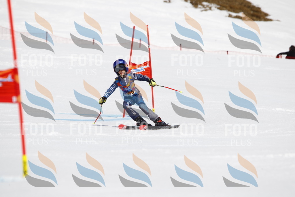 _U3G5492 | holidayphoto