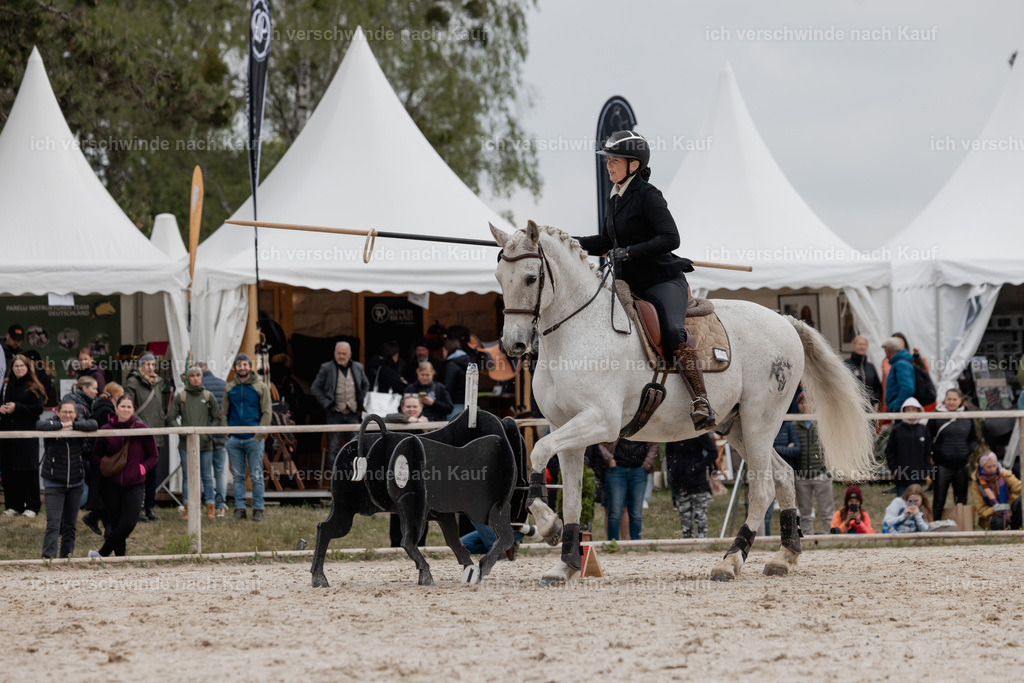 PI26_SP_StoibphotographyC2_C0074.jpg | working equitationturnier fotograf videograf stoibphotography marixx film working equitation deutschland reitsport turnierfotografie eventfotografie equestrian events