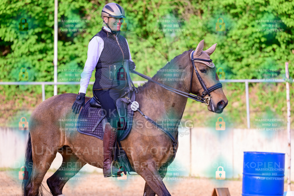 02052026-Giesenbach-03-Speedtrail-0970 | Fokus Hufschlag Fotografie - Realisiert mit Pictrs.com