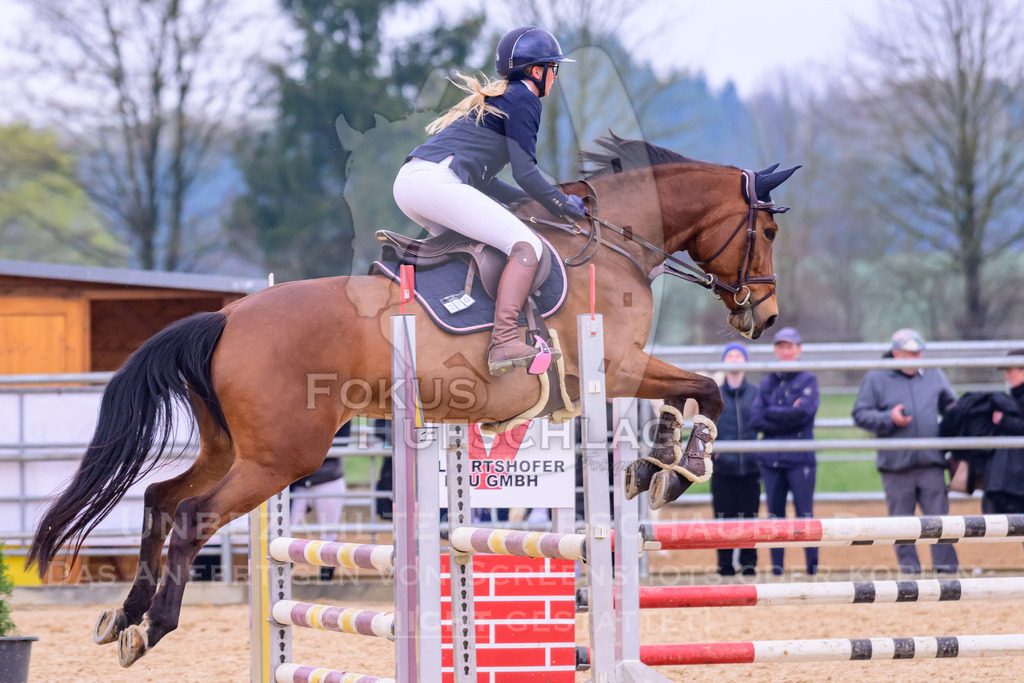 10042026-Mammendorf-Prfg16-0282 | Fokus Hufschlag Fotografie - Realisiert mit Pictrs.com