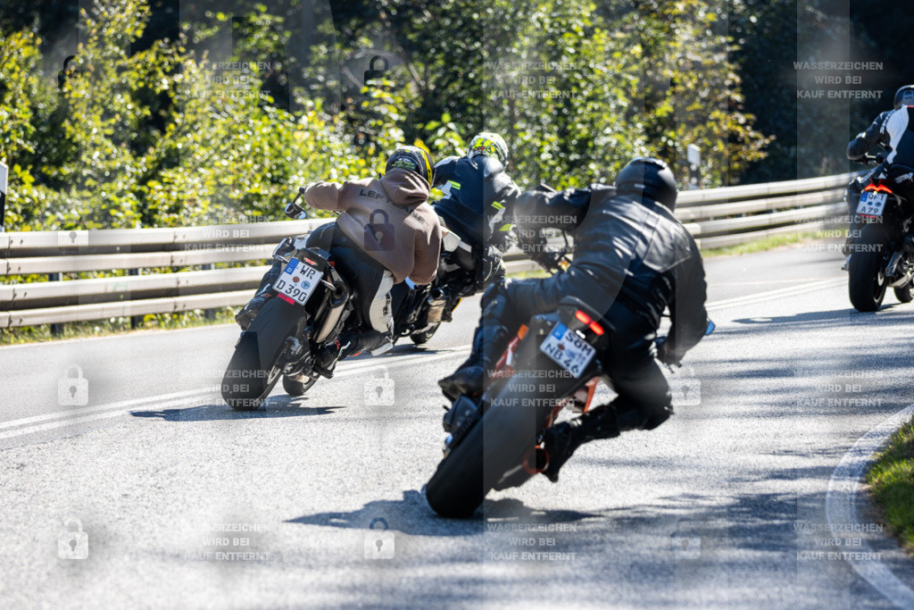 IMG_3528 | jrph - Realisiert mit Pictrs.com