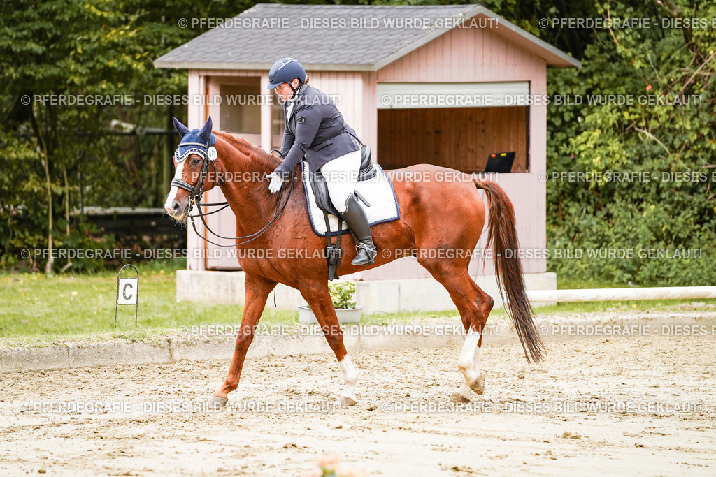 DSC03313 | Pferdegrafie