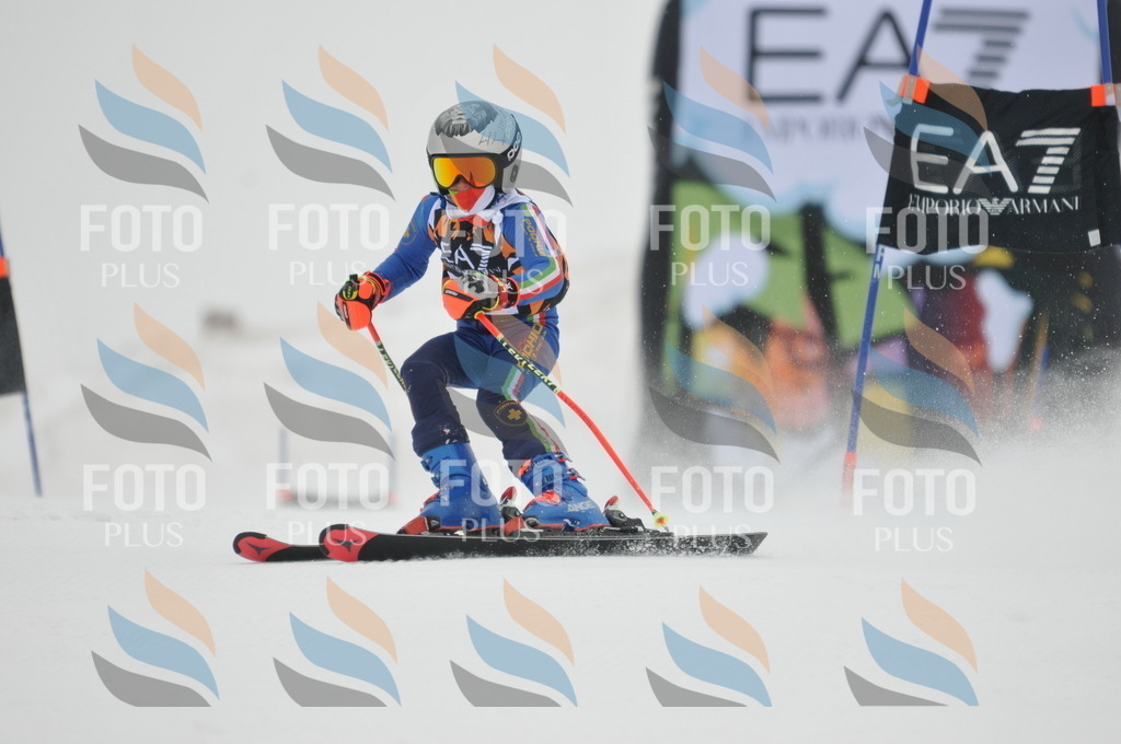 DSC_7784 | holidayphoto