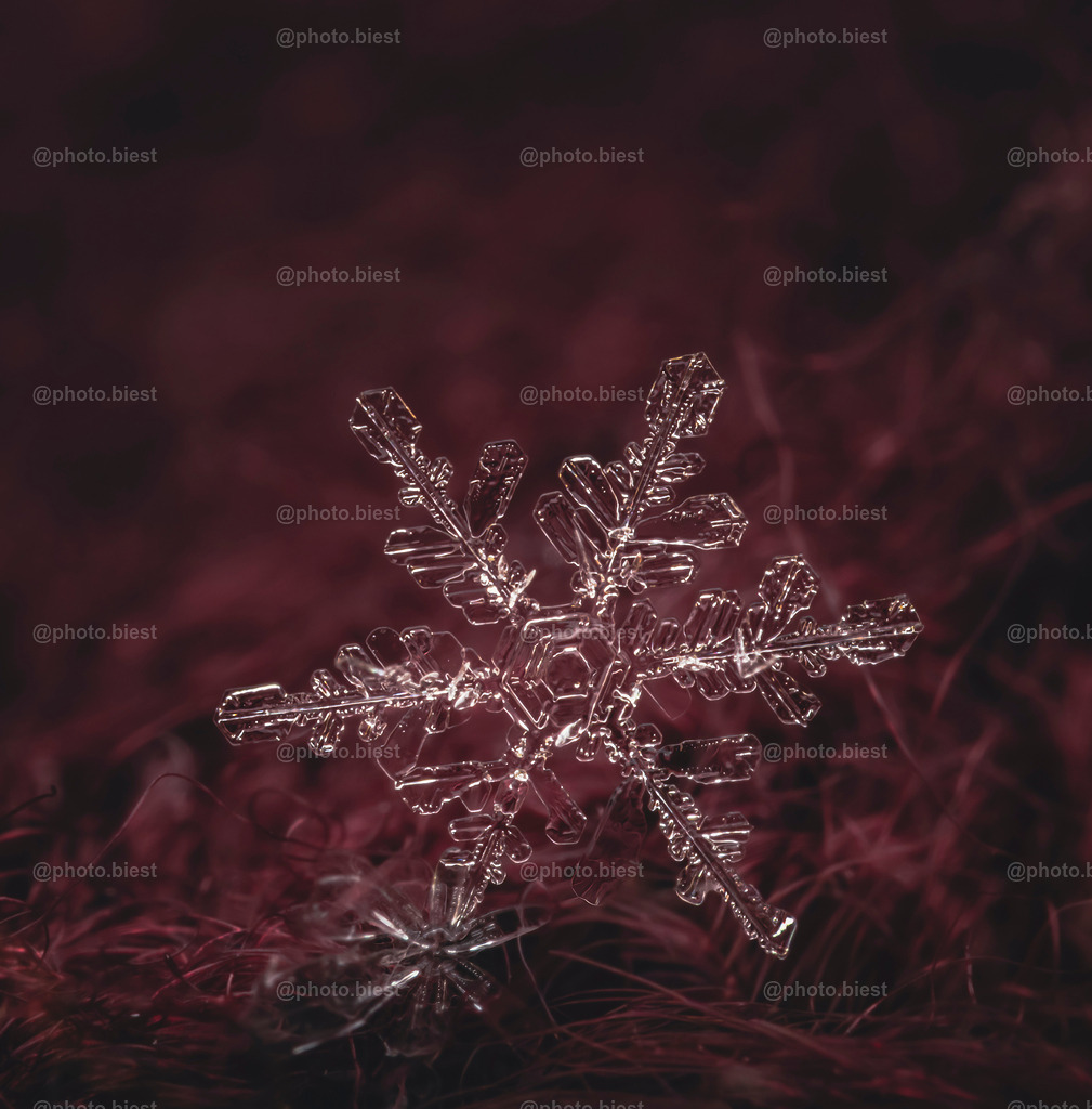 Schneeflocke #21 | Eine (von vielen) filigranen Schneeflocken in meinem ersten Makro-Schneeflocken-Winter. - Realisiert mit Pictrs.com
