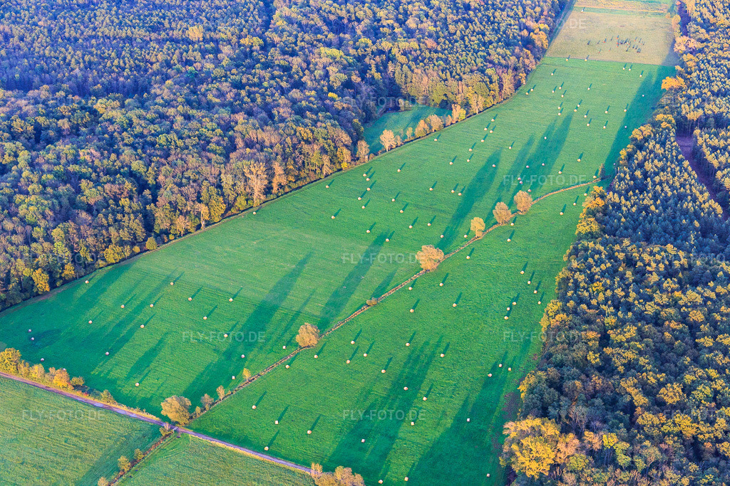 Luftbild: Gemähte Wiesen in der Otterbachniederung bei Abendlicht in Kandel im Bundesland Rheinland-Pfalz in Deutschland. Foto: IMG_074725.jpg vom 14.10.2014 durch Werner Riehm/FLY-FOTO.de