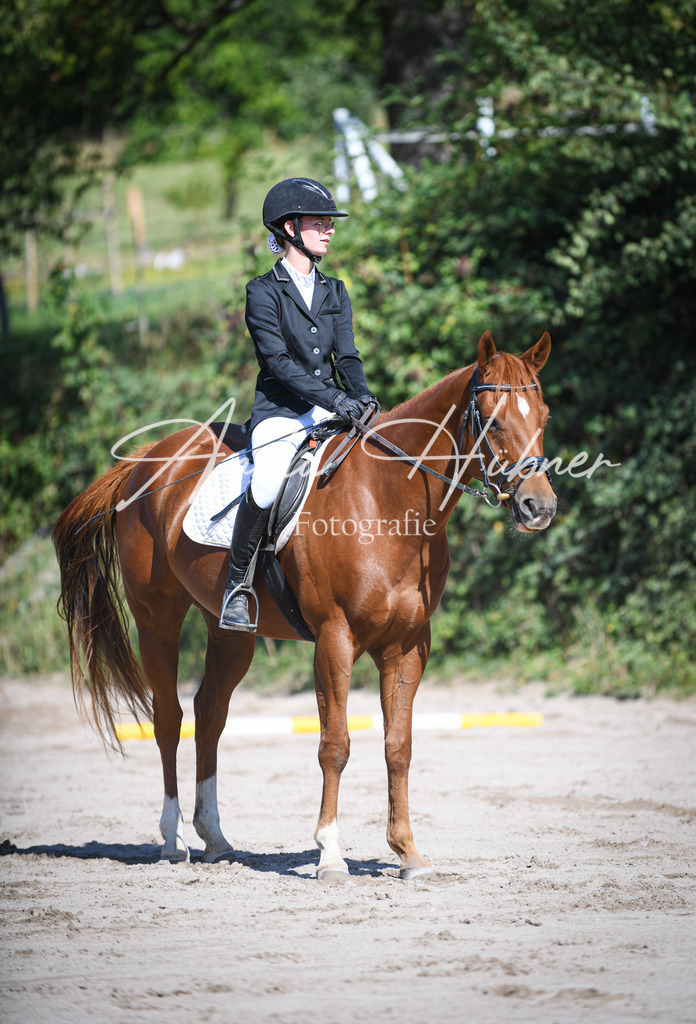 DSC_0167 | anikahuebner - Realisiert mit Pictrs.com