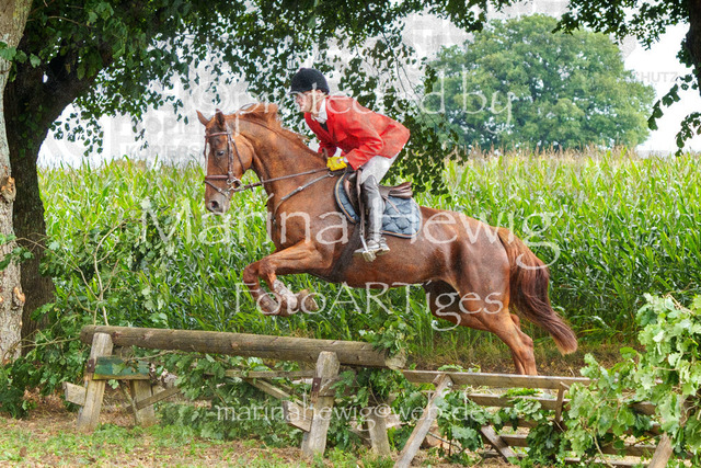 Jagd Perdoel_MarinaHewigMCH04902 | Fotografie, FotoArt, PferdesportArt, Pferdesportfotografie, Landschaftsfotografie, Reisefotografie, Reise, Pferde - Realisiert mit Pictrs.com