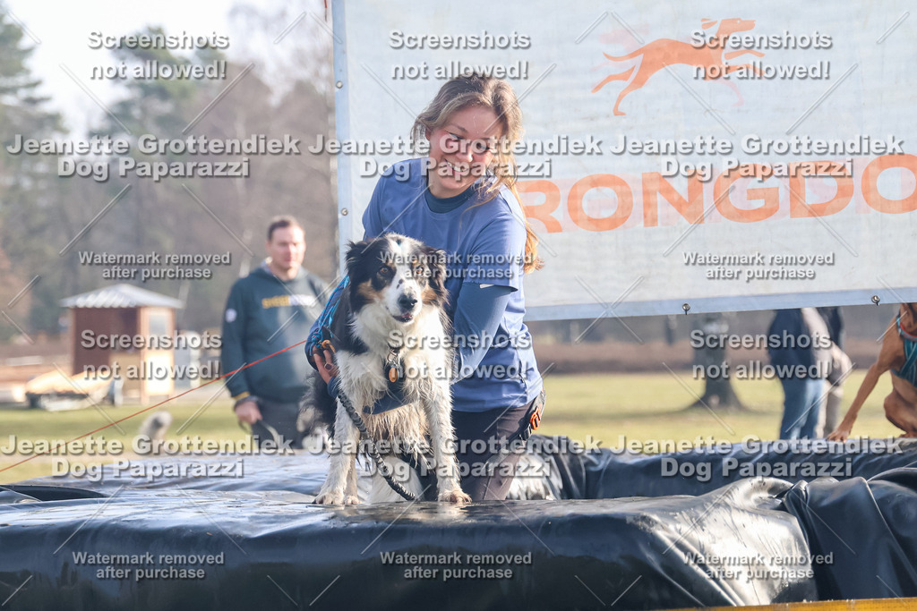 Dog Paparazzi - Strongdog North Mrz26-119 | Dog Paparazzi Jeanette Grottendiek Fotografie & Videografie - Realisiert mit Pictrs.com