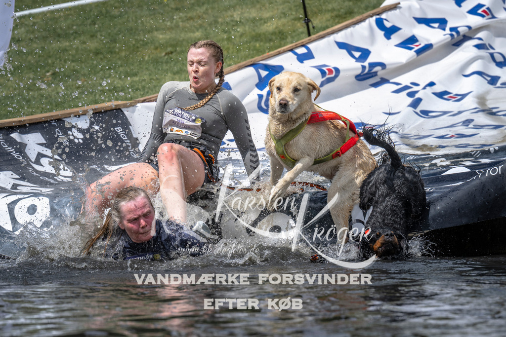 1155_ZZ94348 | kk-dogfotos