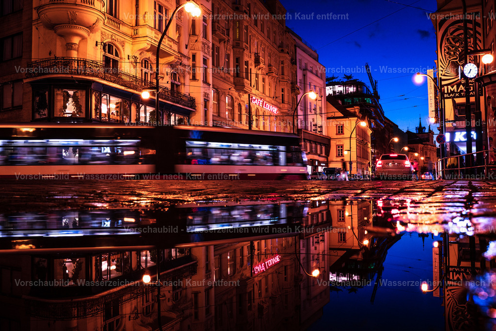 DSC03704 | marcuslinek