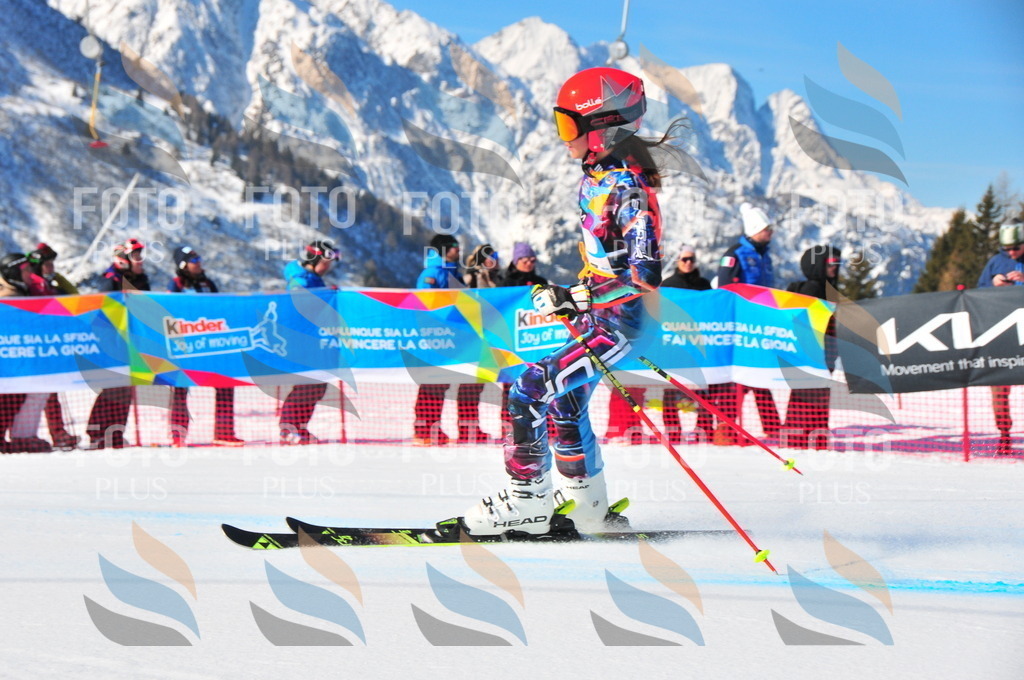 DSC_3687 | holidayphoto