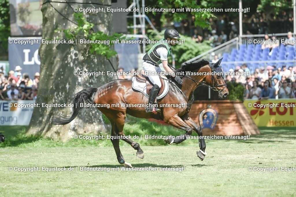 20230527_27_CCI4_Gelände_0429 | equistock