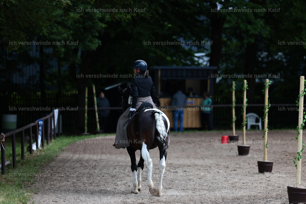 KlasseL_Stoibphotography_CAM23683.JPG | working equitationturnier fotograf videograf stoibphotography marixx film working equitation deutschland reitsport turnierfotografie eventfotografie equestrian events