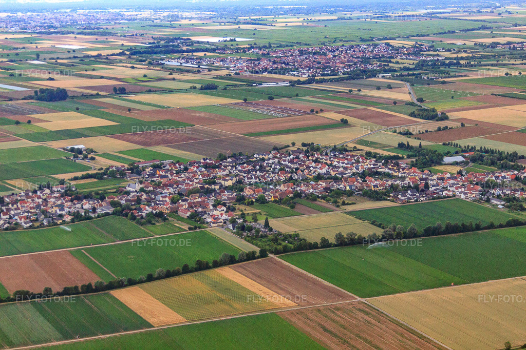 Luftbild: Ortsansicht aus Norden im Ortsteil Rödersheim in Rödersheim-Gronau im Bundesland Rheinland-Pfalz in Deutschland. Foto: IMG_69263.jpg vom 24.06.2014 durch Werner Riehm/FLY-FOTO.de