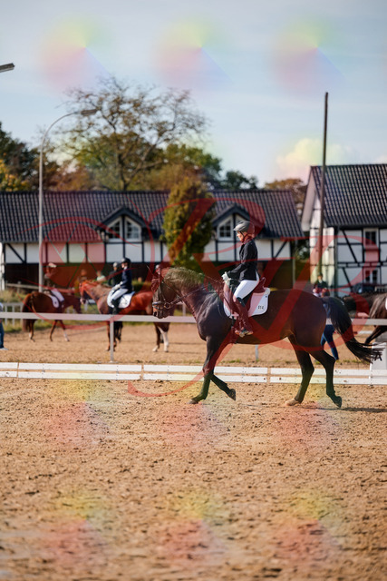 2026_10_03_Siefer-Hof_133518_Z63_94883712 | Professionelle Reitsport-, Turnier- und Eventfotografie von Robert Broda. Galerien mit ausgewählten und bearbeiteten Bildern direkt online ansehen und bestellen.