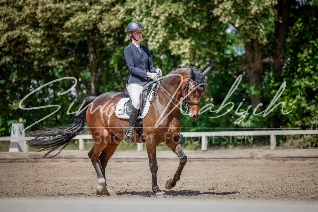 20250621-_3LI8685 | Tierfotografie Pferde, Hunde, Katzen, Haustiere.
Turnierfotografie Reitturniere, Reiten, Springreiten, Dressur in Hanau, dem Main-Kinzig-Kreis und dem Rhein-Main- Gebiet um Frankfurt
