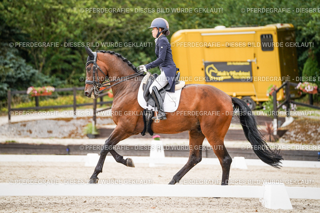 DSC05409 | Pferdegrafie